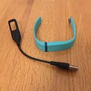 Fitbit Flex